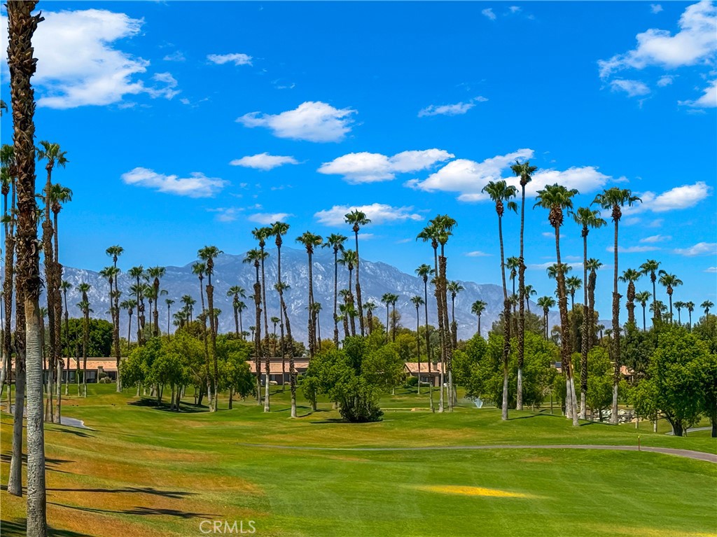 MLS #OC25168664 image #37