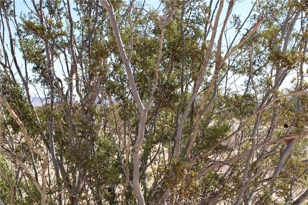 MLS #OC25184360 image #9