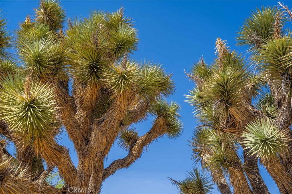 MLS #OC25187555 image #49