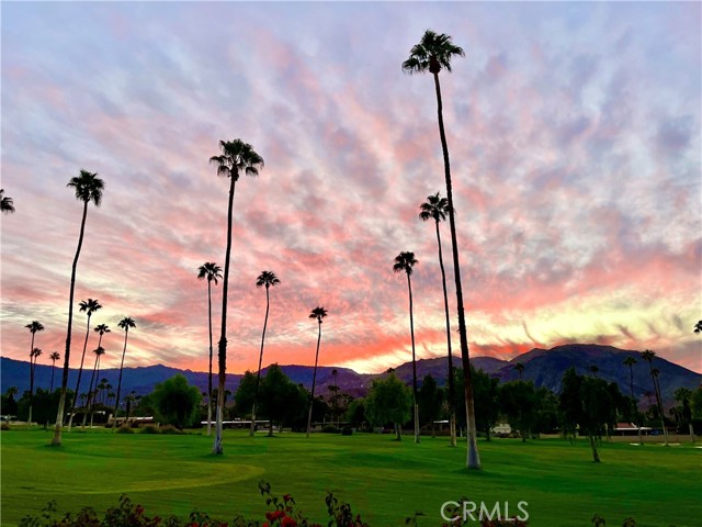 MLS #OC25190194 image #33