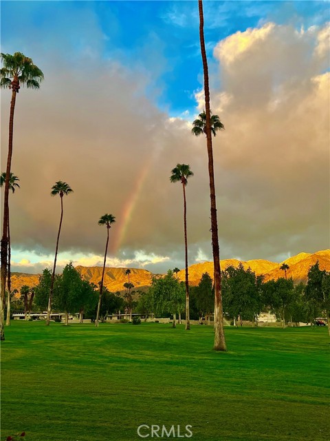 MLS #OC25190194 image #34