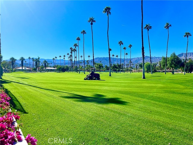 MLS #OC25190194 image #38