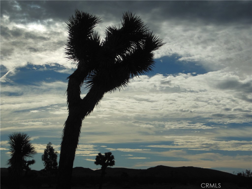 MLS #OC25206622 image #3