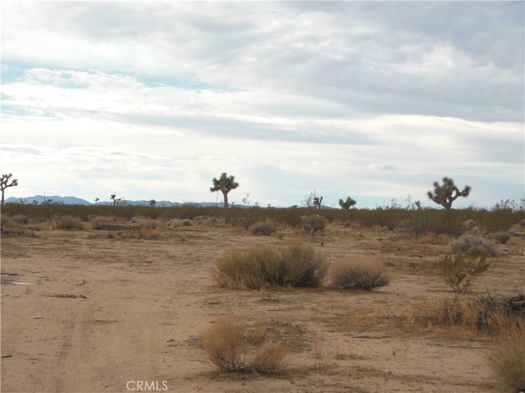 MLS #OC25206622 image #4