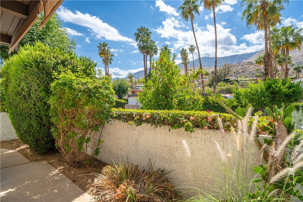 MLS #OC25219571 image #5