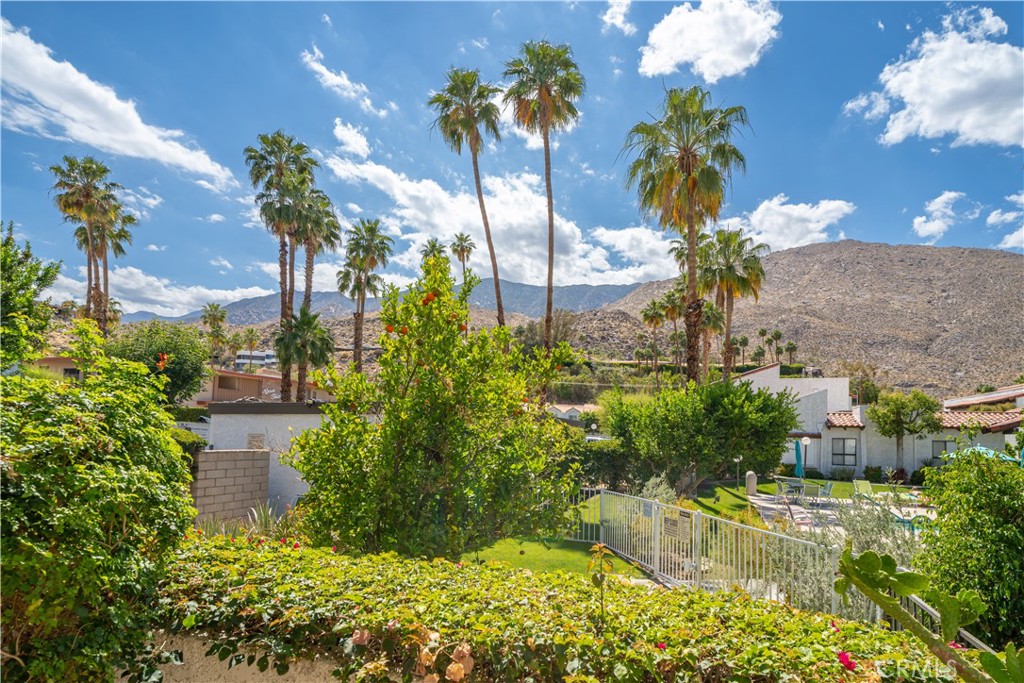 MLS #OC25219571 image #6