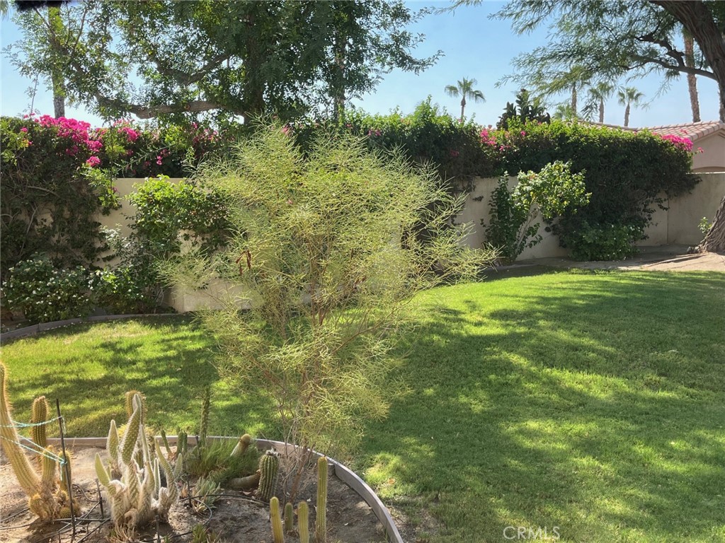 MLS #OC25223364 image #22