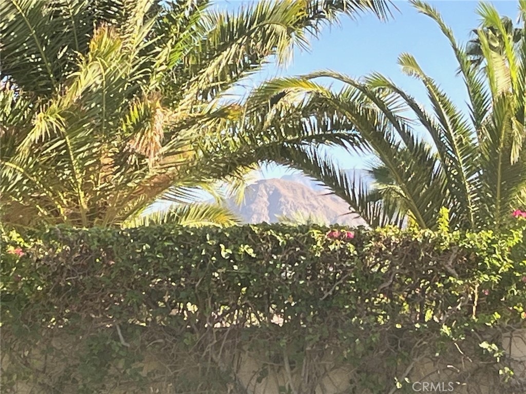 MLS #OC25223364 image #26