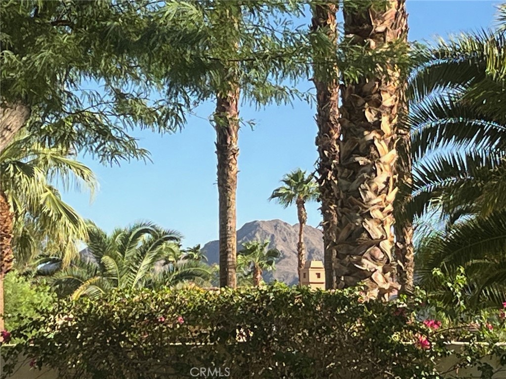 MLS #OC25223364 image #27