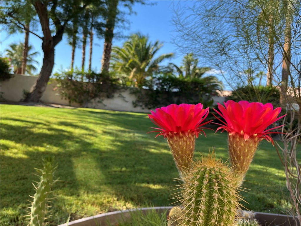 MLS #OC25223364 image #31