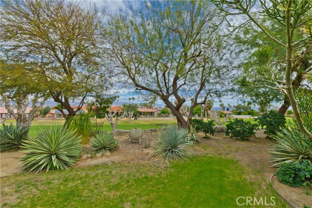 MLS #OC25236453 image #12