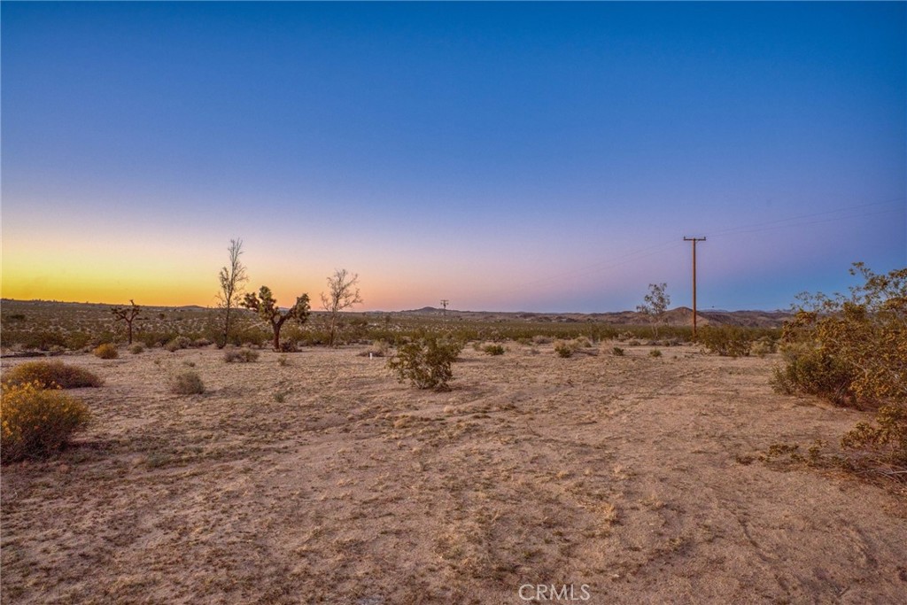 MLS #OC25240323 image #1