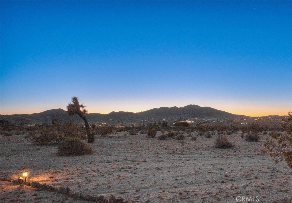 MLS #OC25240323 image #47