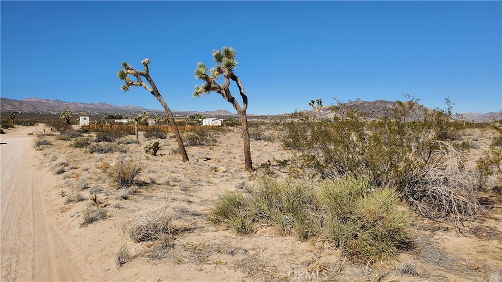 MLS #OC25243523 image #3