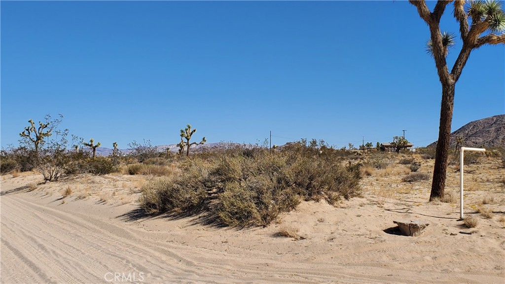 MLS #OC25243523 image #4