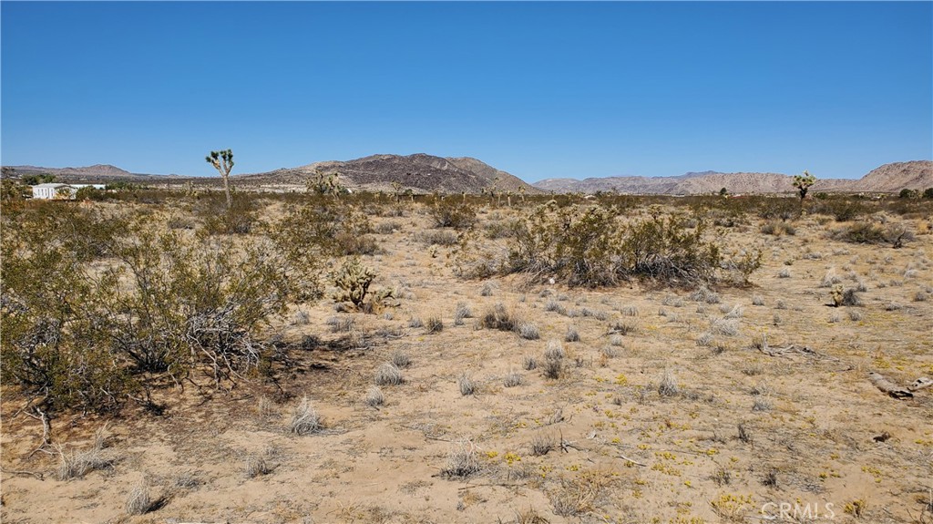 MLS #OC25243523 image #5