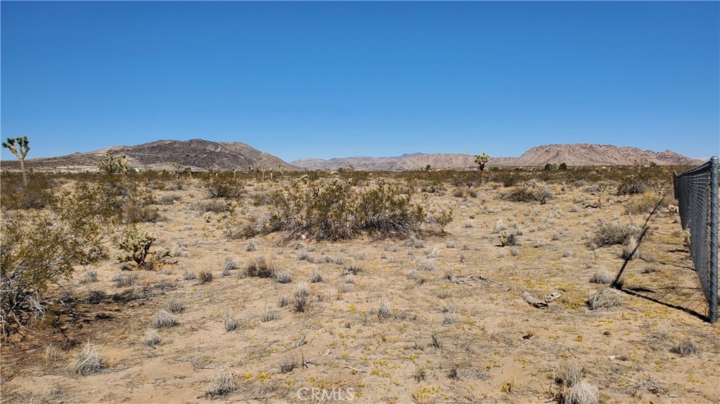 MLS #OC25243523 image #6