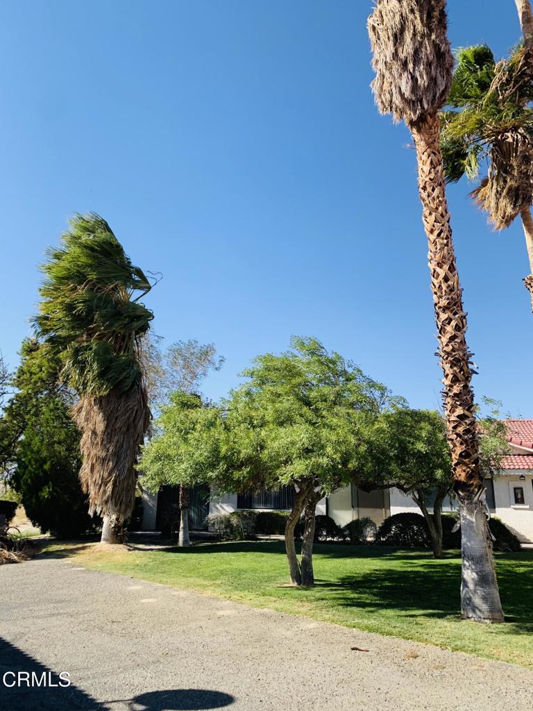 MLS #P1-2710 image #3