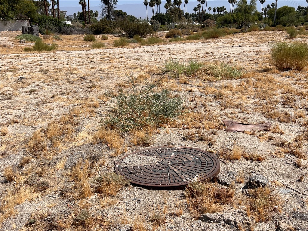 MLS #PV24094117 image #2