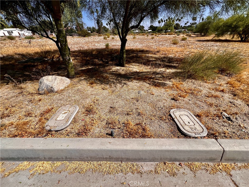 MLS #PV24094134 image #3