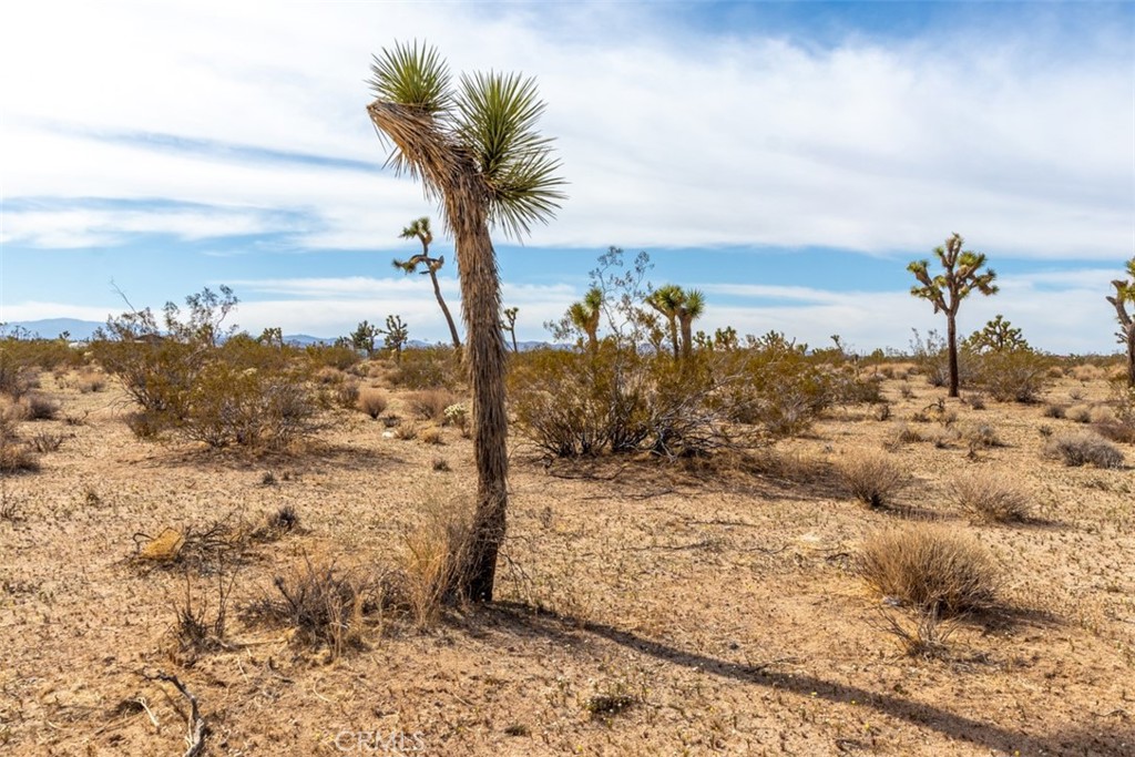 MLS #PW22223332 image #10