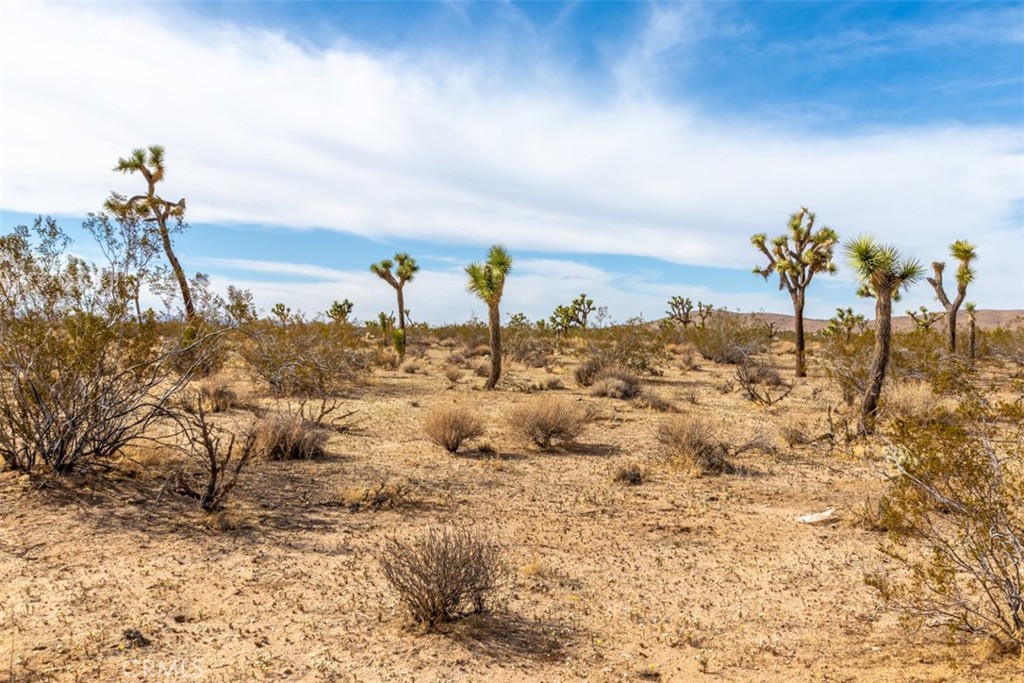 MLS #PW22223332 image #11