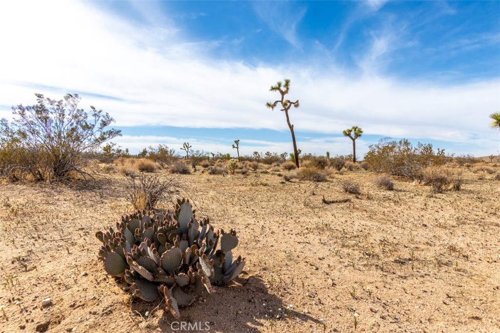 MLS #PW22223332 image #12