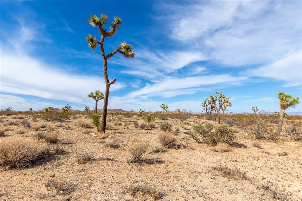 MLS #PW22223332 image #13