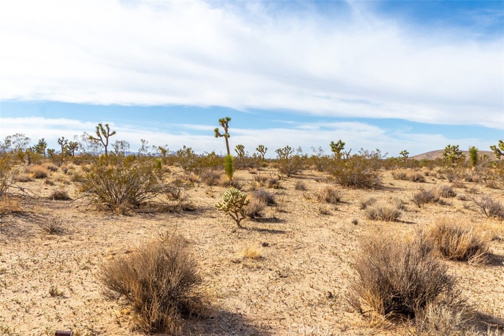 MLS #PW22223332 image #15