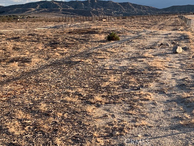 MLS #PW23143398 image #7