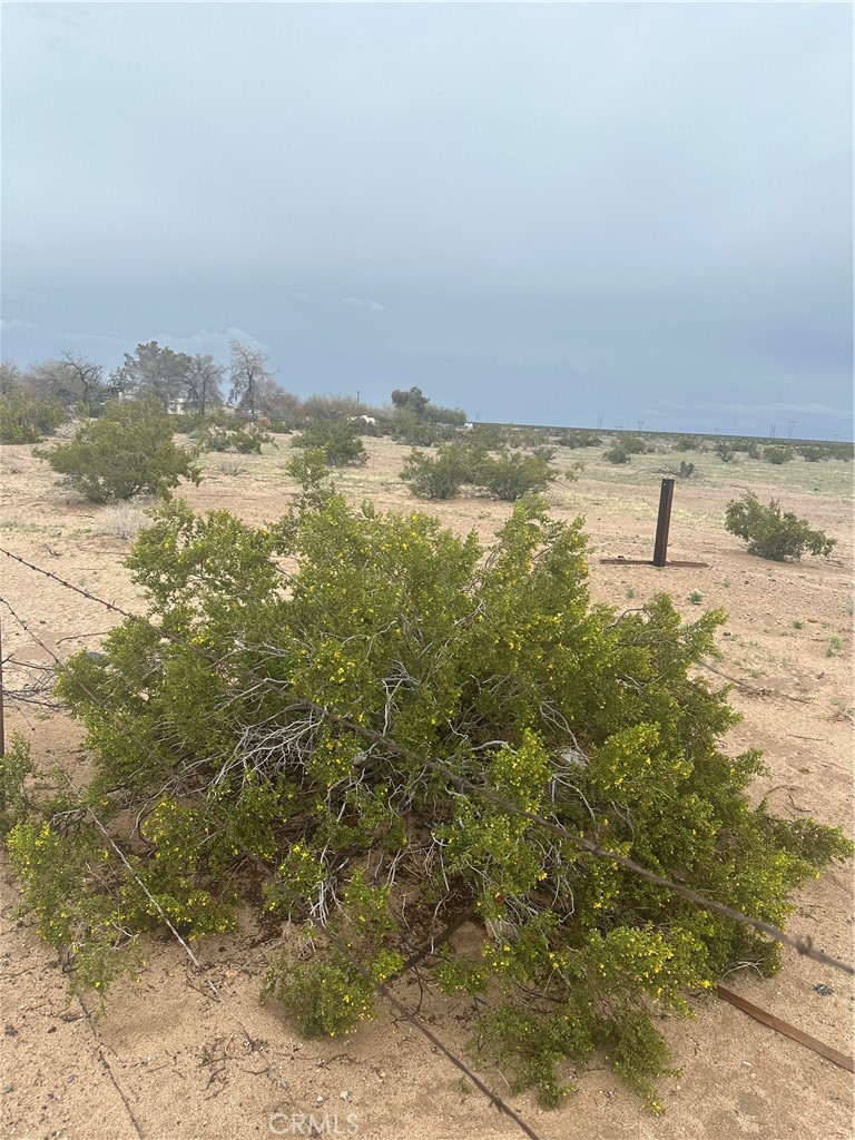 MLS #PW24110886 image #3