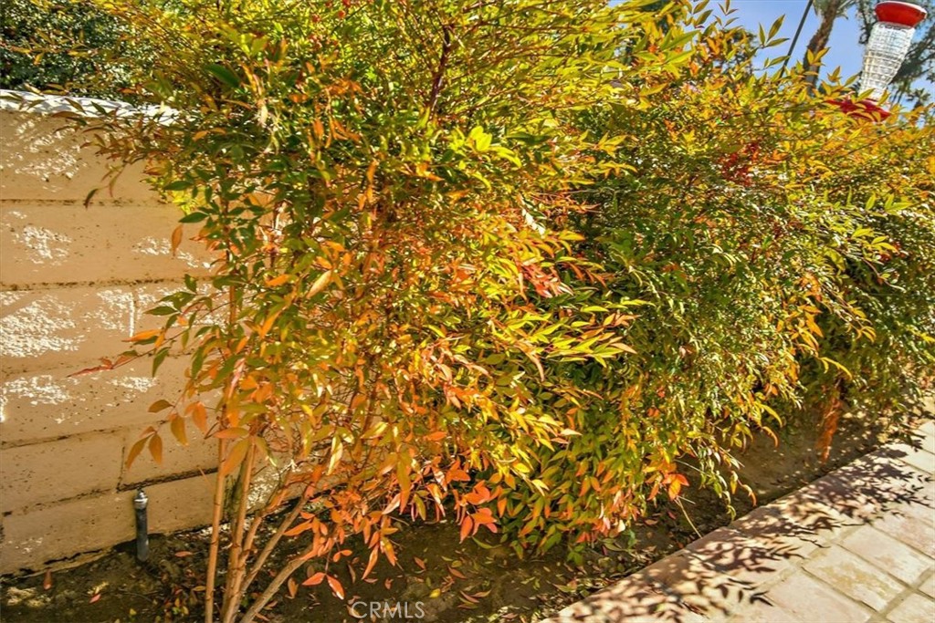 MLS #PW24212669 image #31