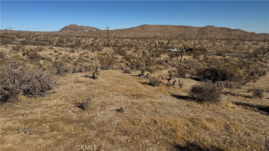 MLS #PW25015680 image #4