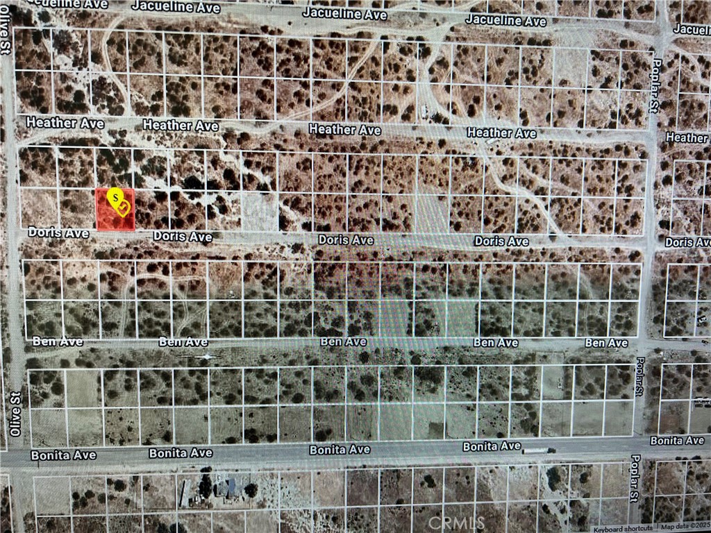 MLS #PW25015684 image #1