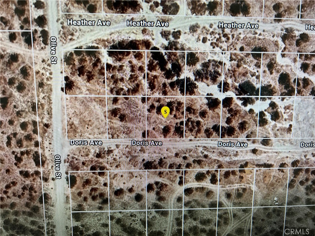 MLS #PW25015684 image #2