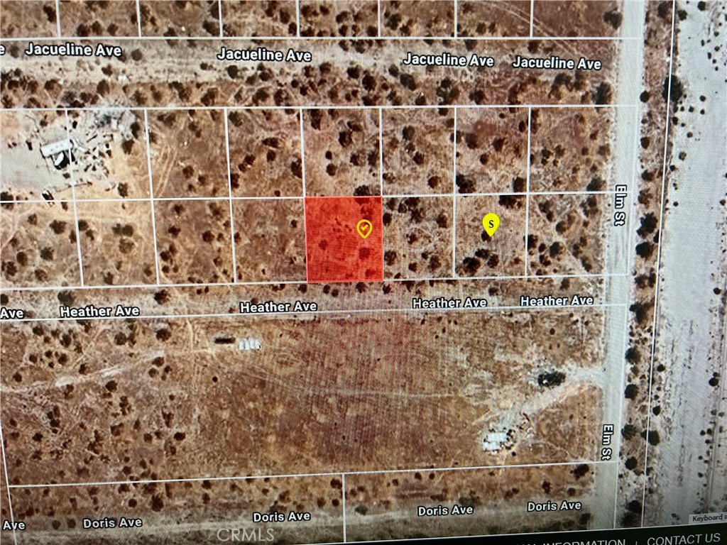 MLS #PW25016002 image #2