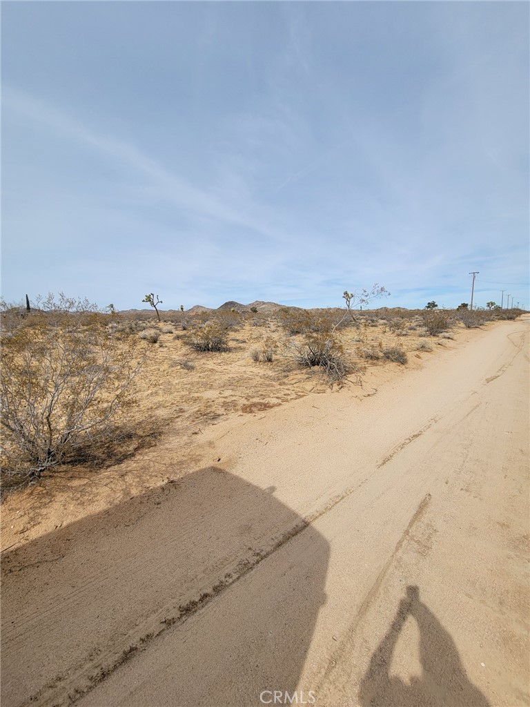 MLS #PW25037318 image #2