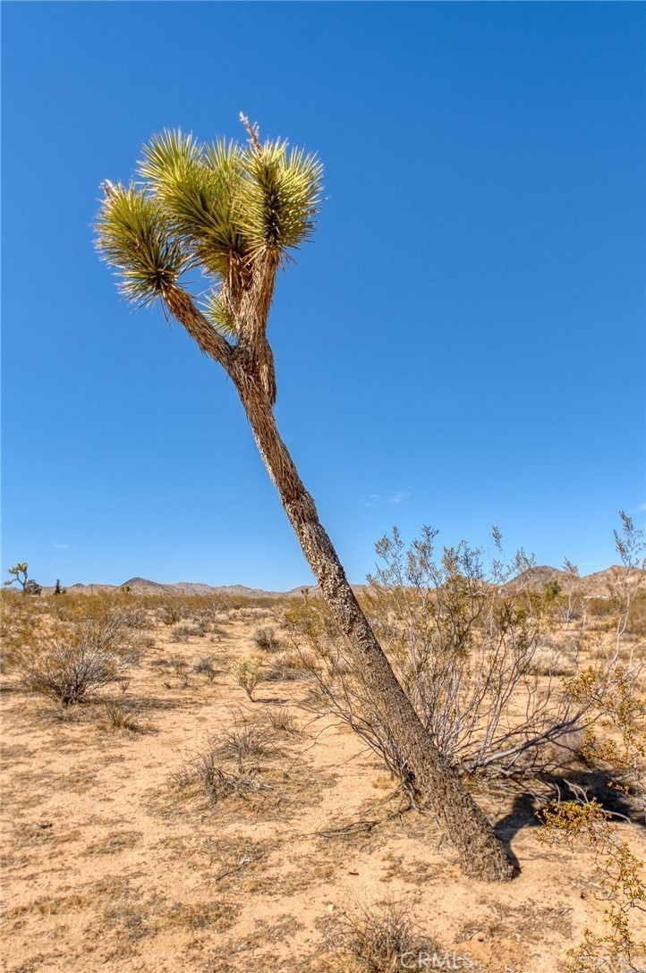 MLS #PW25037318 image #4