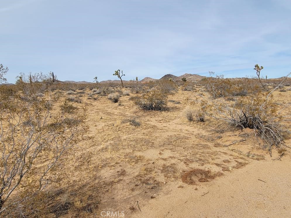 MLS #PW25037318 image #5