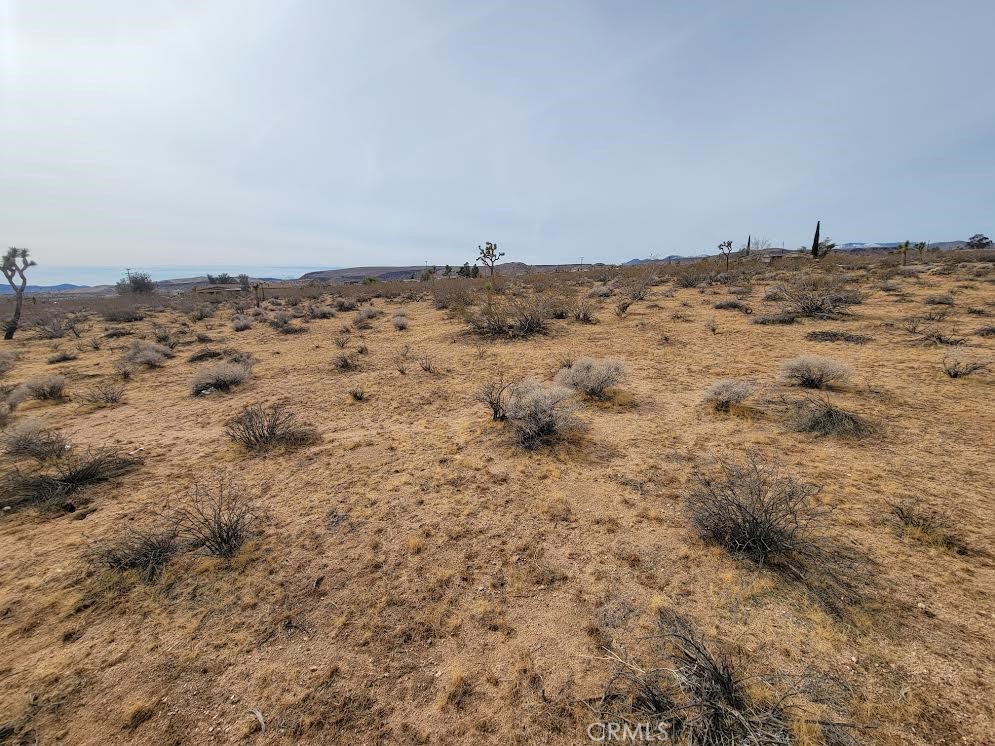 MLS #PW25037318 image #6