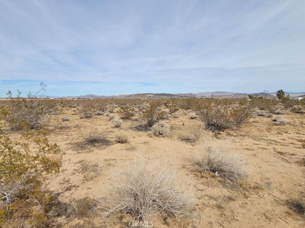 MLS #PW25037996 image #4