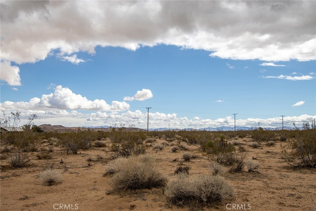 MLS #PW25037996 image #6