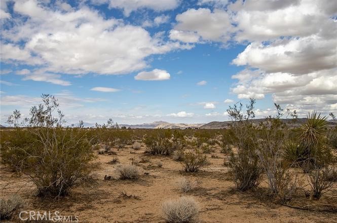 MLS #PW25037996 image #7