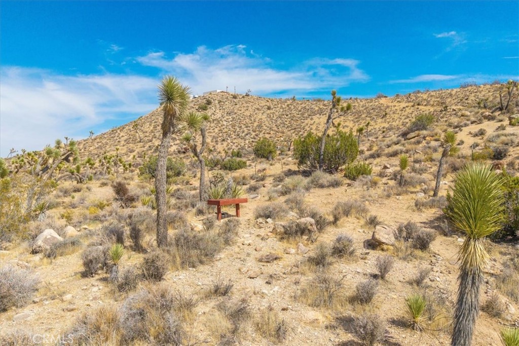 MLS #PW25115277 image #30