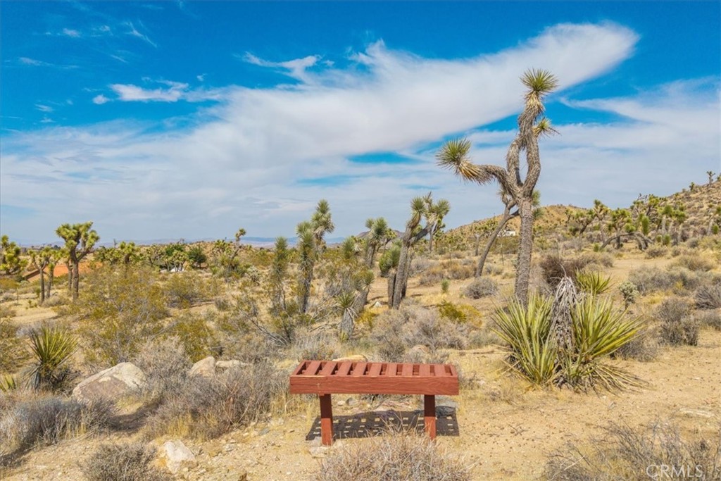 MLS #PW25115277 image #8