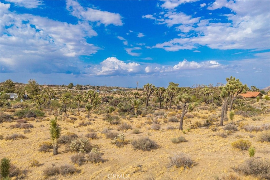 MLS #PW25143260 image #14