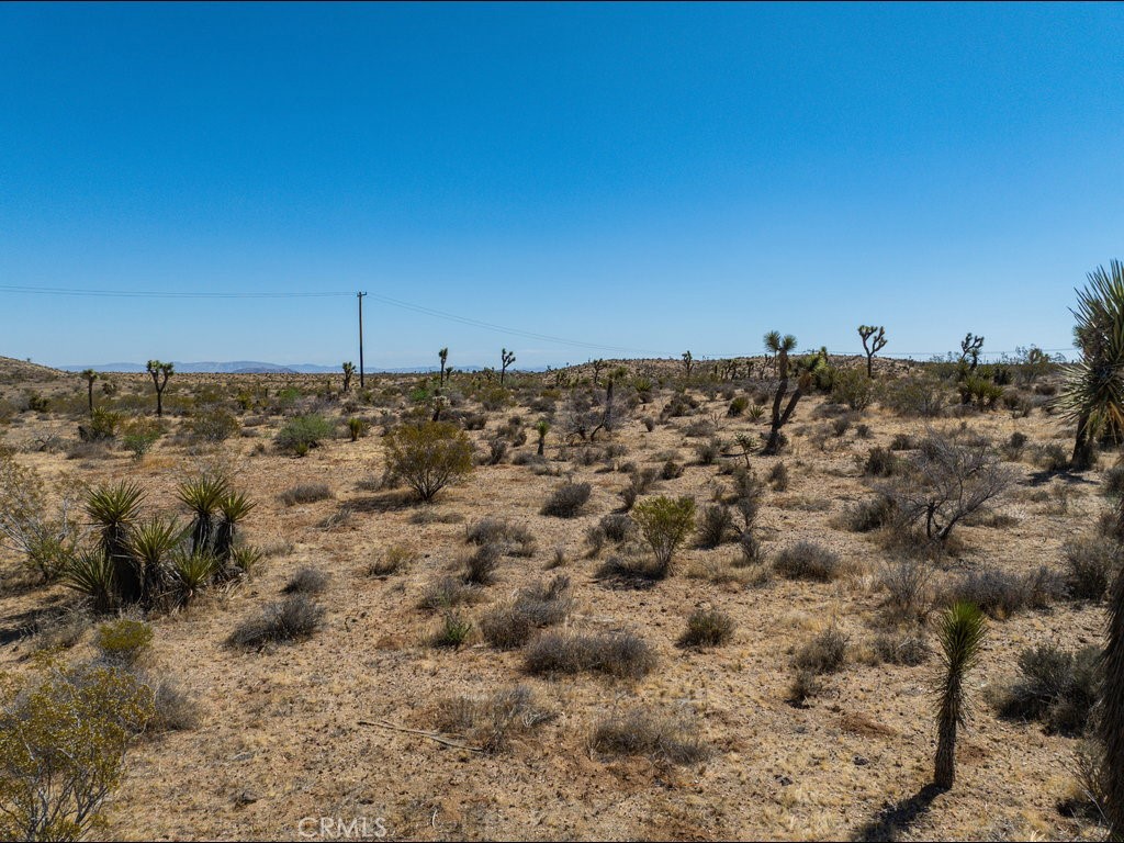 MLS #PW25145262 image #10