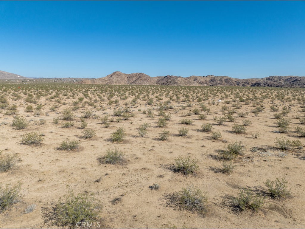 MLS #PW25191468 image #10