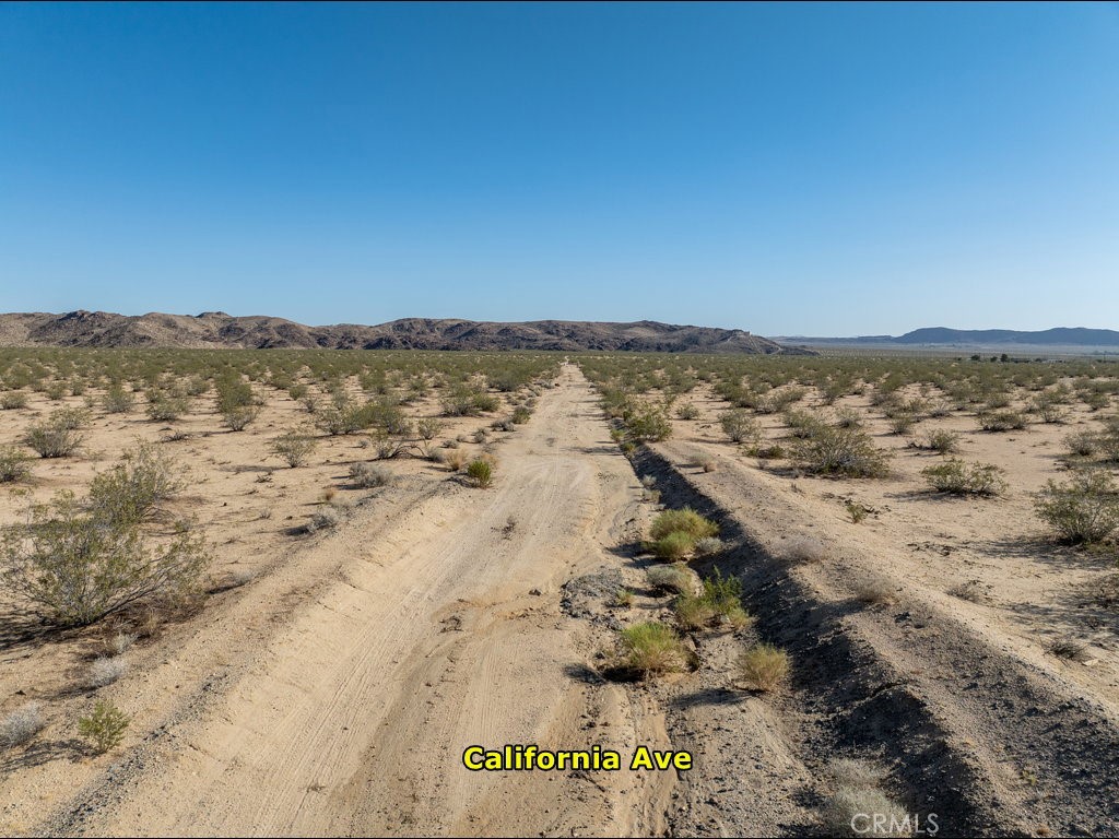 MLS #PW25191468 image #13