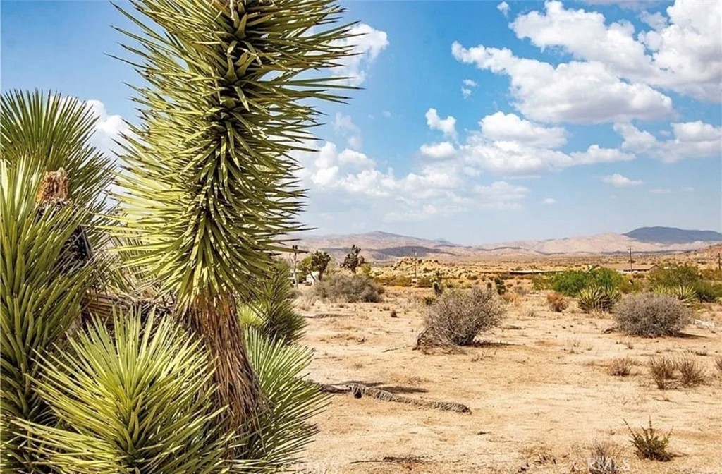 MLS #PW25220092 image #14